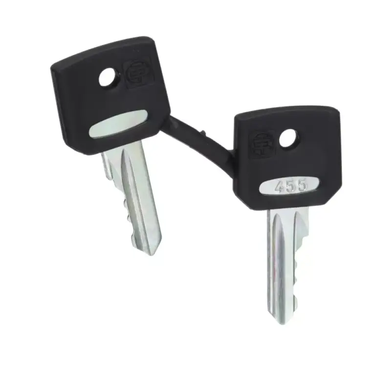 Schneider ZBG455 Harmony pótkulcs kulcsos kapcsolóhoz, 455, 2db Népszerű