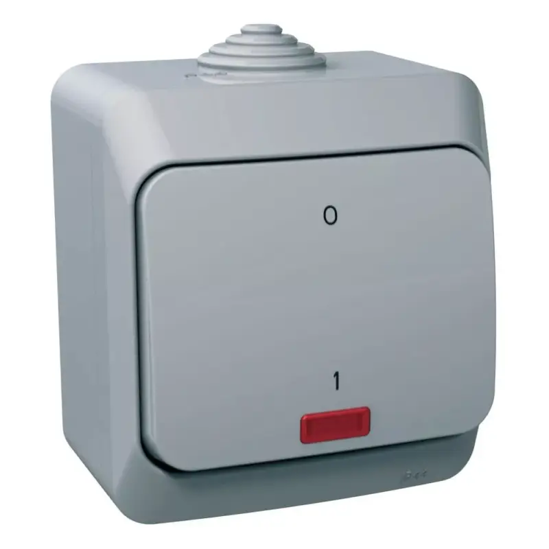 Végkiárusítás Schneider CEDAR PLUS Kétpólusú kapcsoló, jelzőfénnyel, IP44, szürke, WDE000621