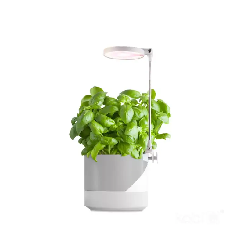 LED növénynevelő lámpa LED VERDI 10W 3200K Kobi Design KOBI-001458 KOBI Árengedmény