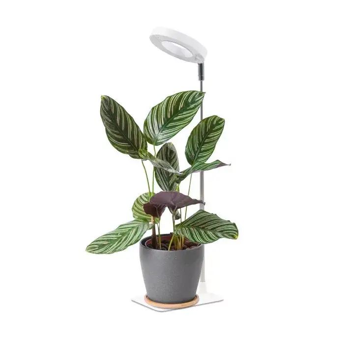 LED növénynevelő lámpa LED VERDI V2 5W 1300K white Kobi Design fehér KOBI-004320 KOBI Utolsó esély